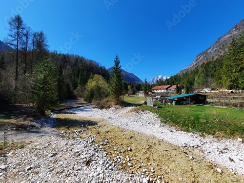 pineforest valley with houses in the alpines photo