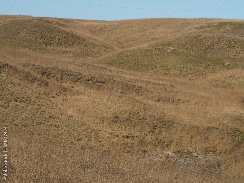 Obraz premium OLYMPUS DIGITAL CAMERA