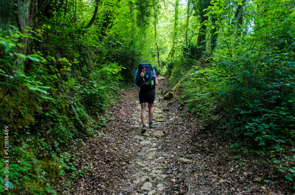 Una pellegrina cammina in mezzo a un bosco lungo la Via del Volto Santo, cammino che parte da Pontremoli e arriva a Lucca