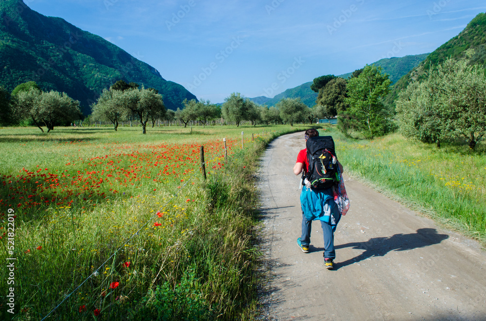 Una ellegrina cammina lungo la ciclabile che segue la valle del fiume Serchio lungo la Via del Volto Santo, cammino che parte da Pontremoli e arriva a Lucca