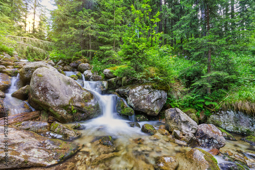 Beautiful close up ecology nature landscape with mountain creek. Abstract long exposure forest stream with pine trees and green foliage background. Autumn tiny waterfall rocks, amazing sunny nature