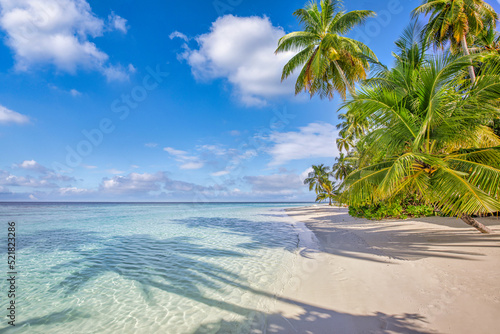 Summer travel background. Exotic tropical beach island, paradise coast. Palm trees white sand, amazing sky ocean lagoon. Fantastic beautiful nature panorama, sunny day idyllic inspirational vacation