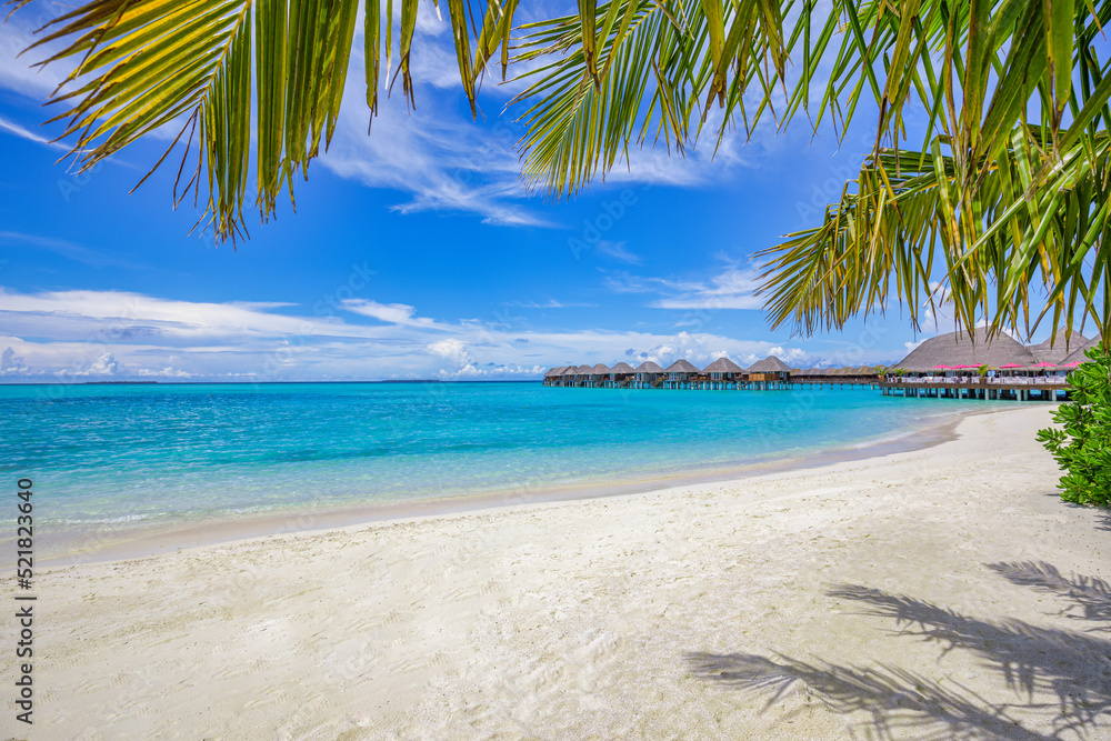 Luxury travel water villas, palm tree leaves over white sand, close to blue sea, seascape. Beautiful beach landscape, idyllic background. Summer vacation and holiday, beach resort on tropical island