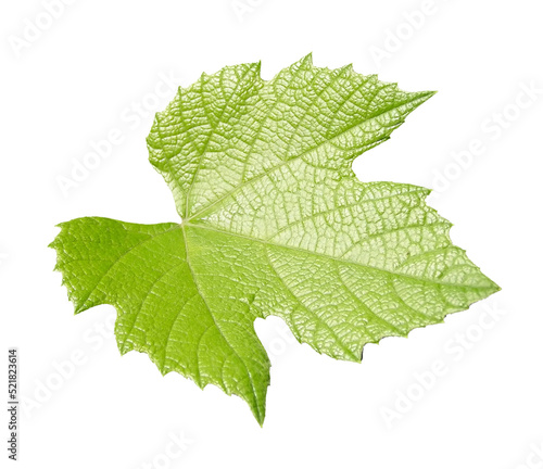 Foto vitis grapevine leaf transparent PNG