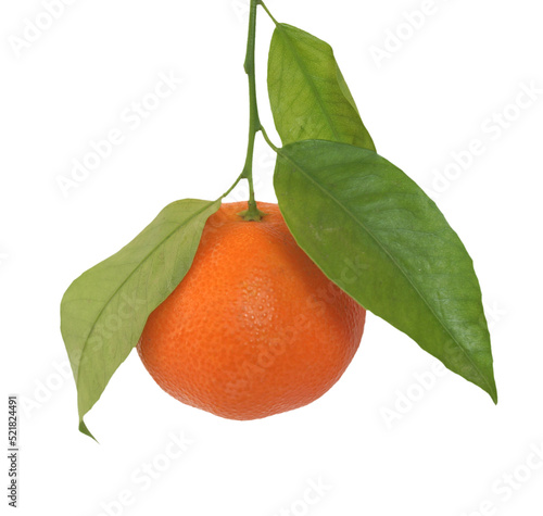 mandarin fruit transparent PNG photo