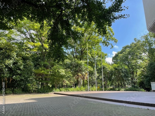 緑豊かな森林公園