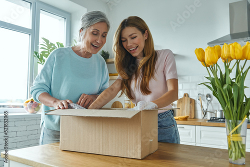 Surprised senior woman and her adult daughter unpacking box while standing at the domestic kitchen photo