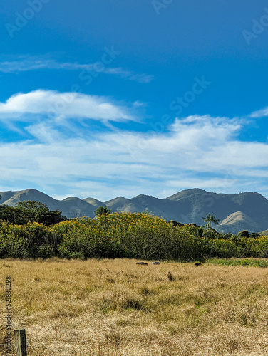 landscape with sky