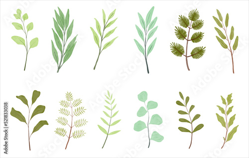 floral watercolor leaf decoration element. wildflower branch vector illustration. wreath border decoration