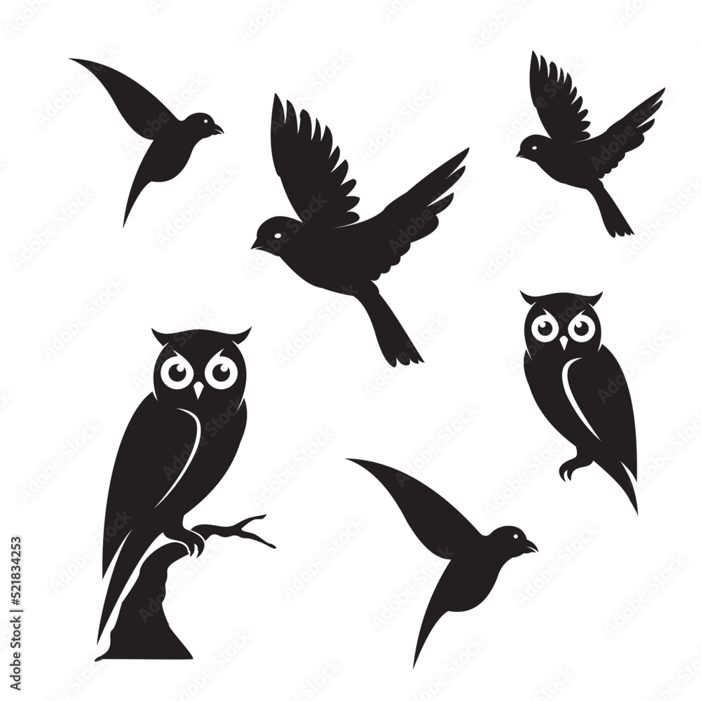 Obraz premium Bird black vector silhouette vector