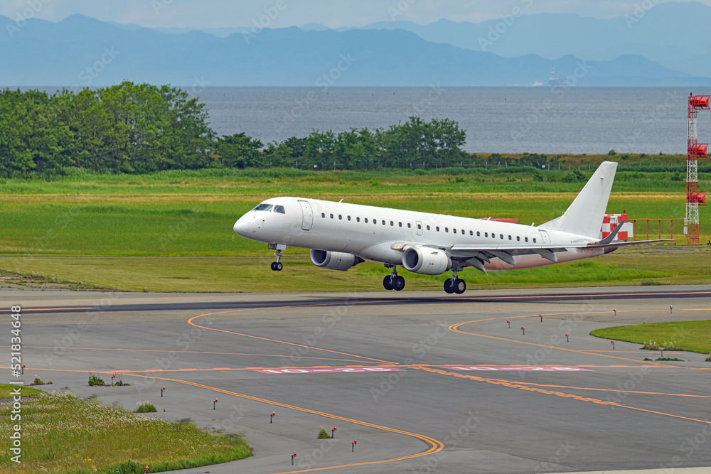 着陸する旅客機 着陸する旅客機