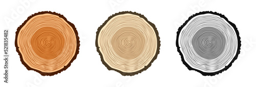 Round tree trunk cuts in various colors, sawn pine or oak slices, lumber. Saw cut timber, wood. Brown wooden texture with tree rings. Hand drawn sketch. Vector illustration