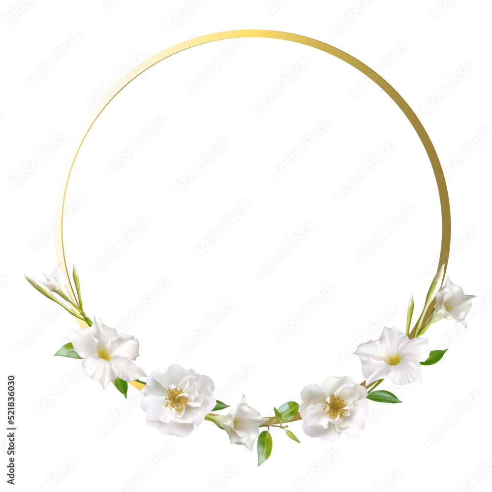 White flowers. Floral background. Green leaf. Buds. Isolated. Frame. Golden ring. White flowers. Floral background. Green leaf. Buds. Isolated. Frame. Golden ring.