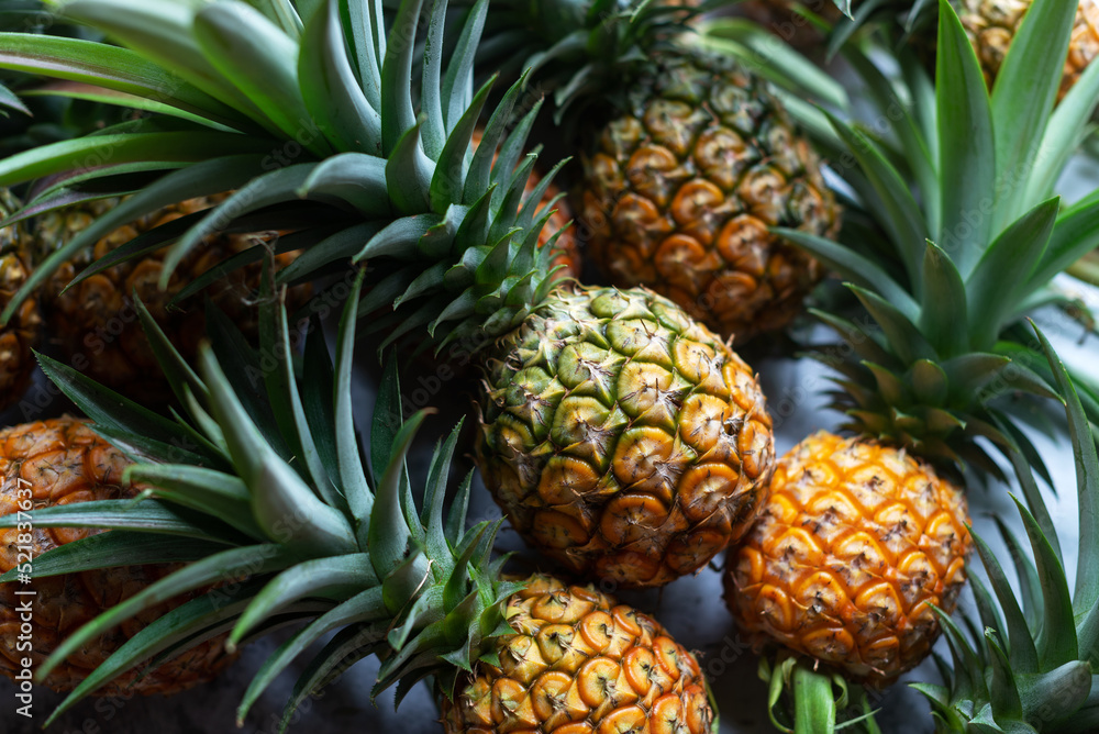 Obraz premium freshly harvest organic pineapple, fresh food background.