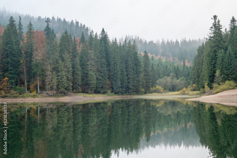Lake in mystery fog with autumn forest. Ghostly mountain lake. Ukrainian lake Synevir Lake in mystery fog with autumn forest. Ghostly mountain lake. Ukrainian lake Synevir