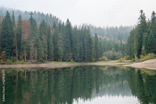 Fototapeta Naklejka Na Ścianę i Meble -  Lake in mystery fog with autumn forest. Ghostly mountain lake. Ukrainian lake Synevir