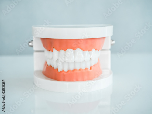 Close up of denture tooth, front view ,acrylic human jaw model on white table isolated on grey background. Plastic artificial human teeth for studying oral hygiene in the dental clinic.