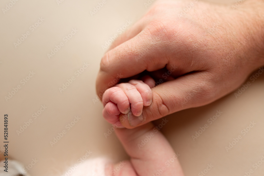 newborn baby holding father's finger. hand of a newborn baby newborn baby holding father's finger. hand of a newborn baby