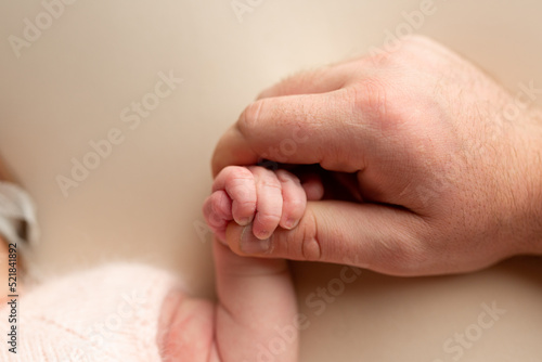 newborn baby holding father's finger. hand of a newborn baby