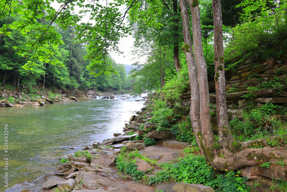 Mountain River Prut in Yaremche, Ukraine Mountain River Prut in Yaremche, Ukraine