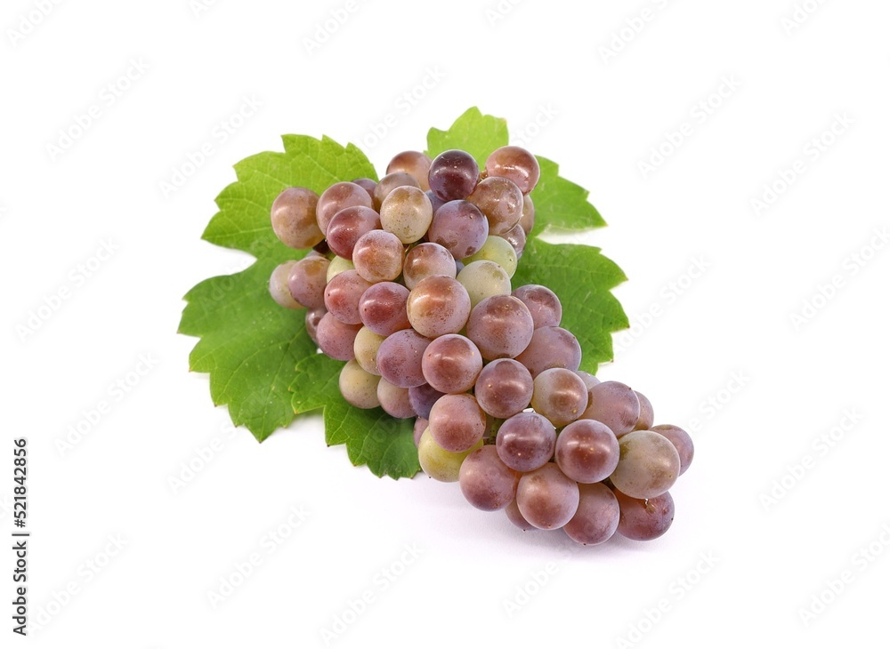 Obraz premium Bunch of Pinot Gris grape with multicolored berries, on white background