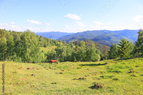 Panorama of mountains from Mount Makovitsa in Yaremche, Ukraine 