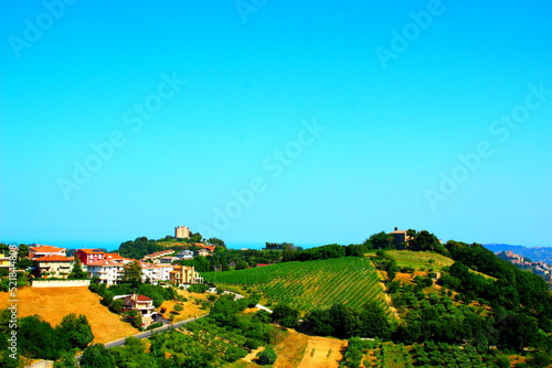 Vivid overview in Acquaviva Picena with hills of green cultivations and trees amongst houses sitting on yellow terrain and more buildings in the background under a clear blue sky on a summer day