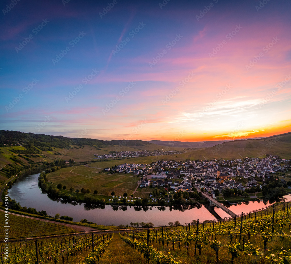 Far view over Mosel loop with vineyards in foreground during spectacular colorful sunset near Leiwen, Germany