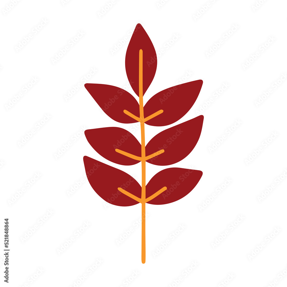 Autumn branch isolated on a white background. Autumn branch isolated on a white background.
