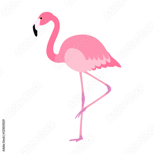 Cute pink flamingo balancing on one leg