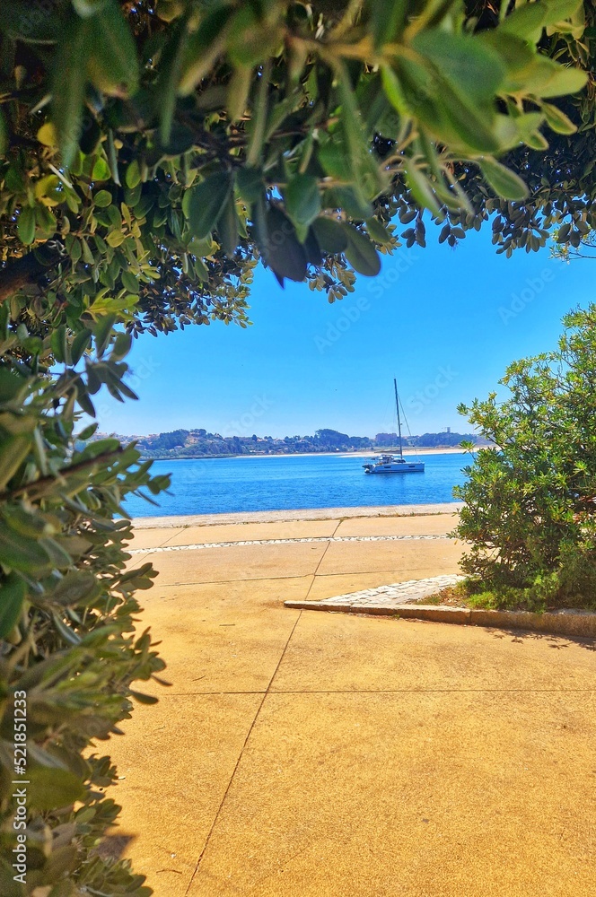 Naklejka premium river view