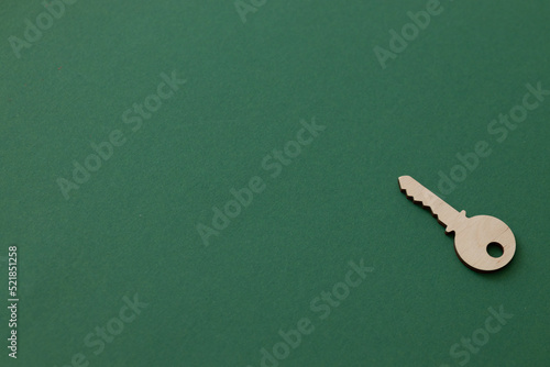 Wooden keys .Composition on green background. © ALEXSTUDIO