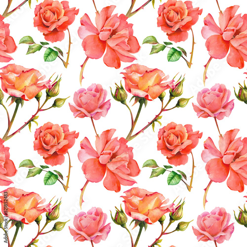 Watercolor pattern of roses. Pattern background of red and pink roses with leaves and stems on a white background