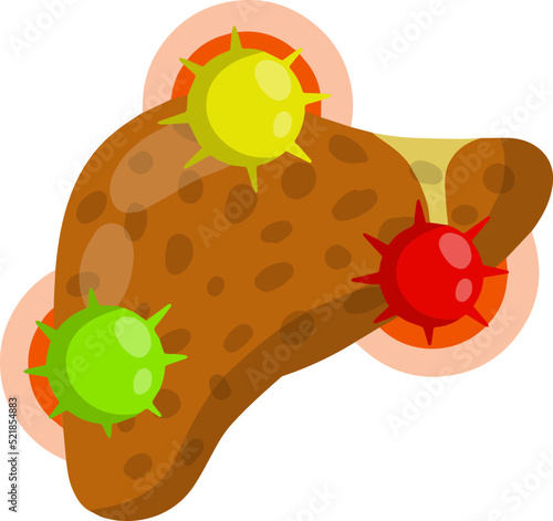 Bad liver. Attack germs and cirrhosis of the liver. Health problem