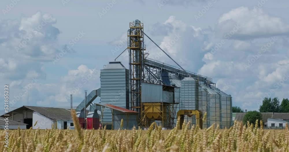 Silver silos on agro-processing and manufacturing plant for processing drying cleaning and storage of agricultural products, flour, cereals and grain. Modern Granary elevator. Silver silos on agro-processing and manufacturing plant for processing drying cleaning and storage of agricultural products, flour, cereals and grain. Modern Granary elevator.