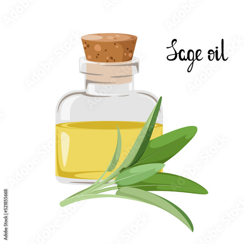 Glass jar with sage oil on a white background.
