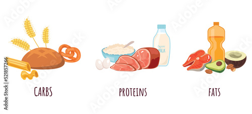 Macronutrients balance food diet nutrition fiber carb proteins complex isolated concept. Vector graphic design element illustration