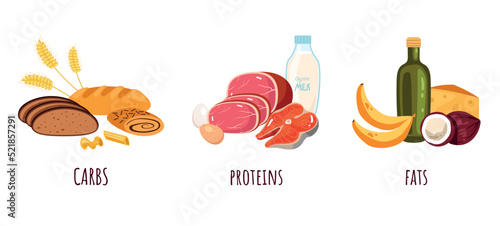 Macronutrients balance food diet nutrition fiber carb proteins complex isolated concept. Vector graphic design element illustration