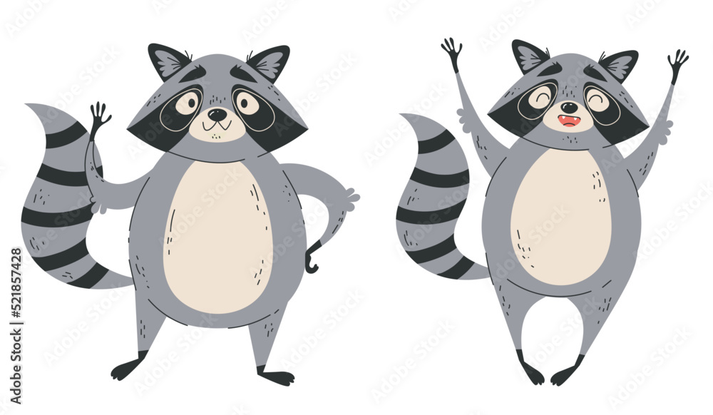 Obraz premium Racoon happy cute animal cartoon character comic style with different pose isolated set collection concept. Vector graphic design element illustration