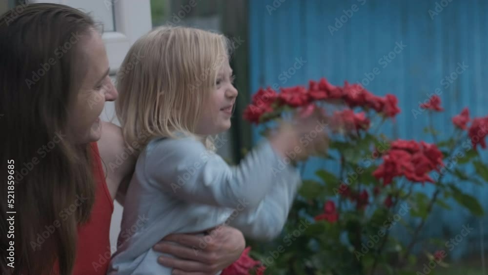 Little blonde girl plays with mother in summer rain. Rose bush background. Happy mother and daughter outdoors. Little blonde girl plays with mother in summer rain. Rose bush background. Happy mother and daughter outdoors.