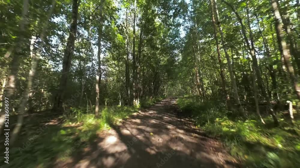Fast FPV flight over shady forest road with patches of sunlight. First person fast camera movement over forest footpath Fast FPV flight over shady forest road with patches of sunlight. First person fast camera movement over forest footpath