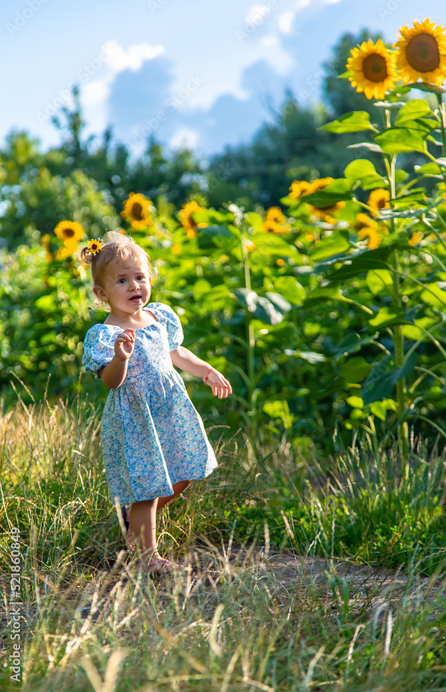 A child in a field of sunflowers. Ukraine. Selective focus. A child in a field of sunflowers. Ukraine. Selective focus.