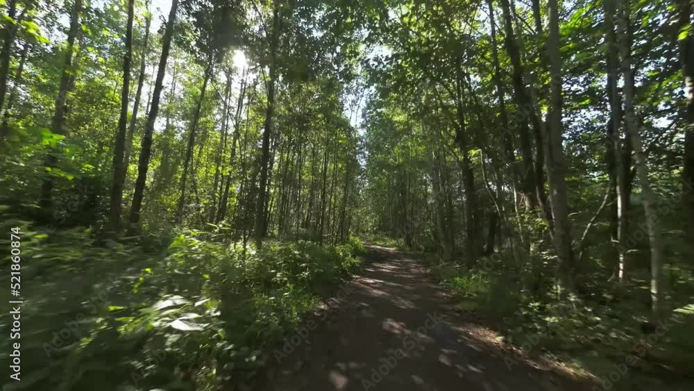 Fast and smooth FPV flight over shady forest road with patches of sunlight. Sun visible. First person fast camera movement over forest footpath Fast and smooth FPV flight over shady forest road with patches of sunlight. Sun visible. First person fast camera movement over forest footpath
