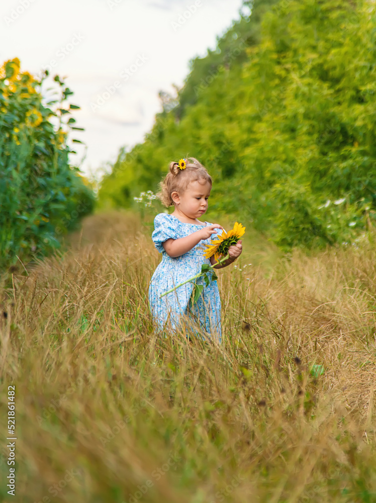 A child in a field of sunflowers. Ukraine. Selective focus. A child in a field of sunflowers. Ukraine. Selective focus.