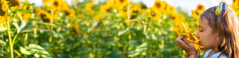 Fototapeta premium A child in a field of sunflowers. Ukraine. Selective focus.