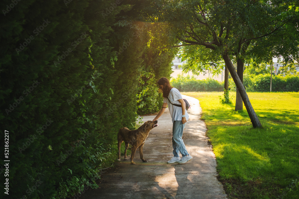 Young woman walking along a path in the park with a dog on a summer day Young woman walking along a path in the park with a dog on a summer day