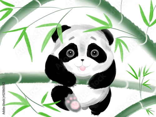 Fototapeta Naklejka Na Ścianę i Meble -  panda on bamboo