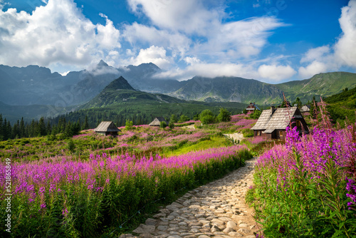 Beautiful summer day in the mountains - Hala Gasienicowa in Poland - Tatras