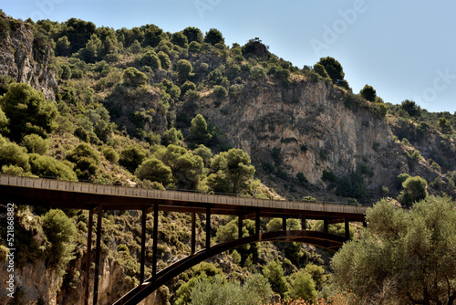 puente de hierro moderno sobre en bosque de pinos