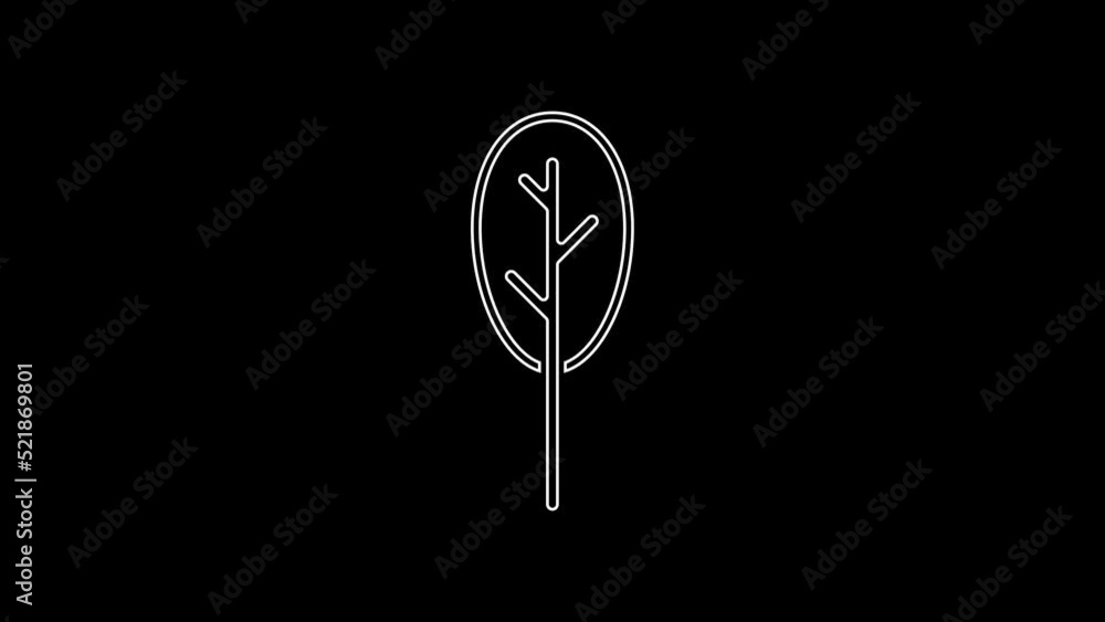 White line Spinach icon isolated on black background. 4K Video motion graphic animation White line Spinach icon isolated on black background. 4K Video motion graphic animation